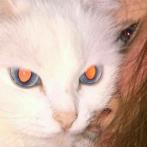 Vamo Conversar (Explicit)