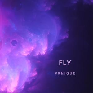 Fly