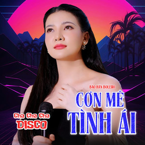 Cơn Mê Tình Ái (Chachacha Disco)