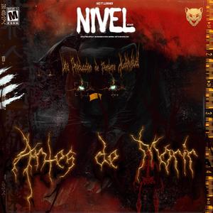 No Bajo Nivel (feat. Lluviaboi) [Explicit]