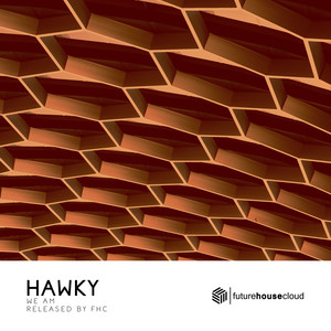 Hawky