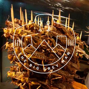 Locusts And Wild Honey