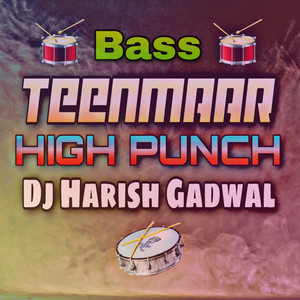 TEENMAAR HIGH PUNCH BASS