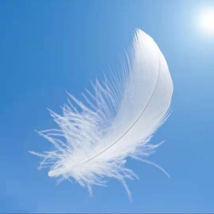 羽毛 - 一次就好