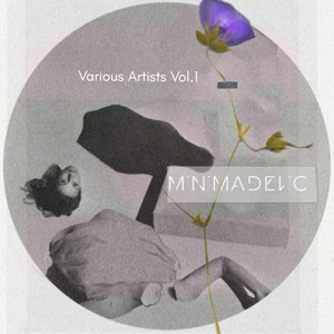 Minimadelic V.A, Vol. 1