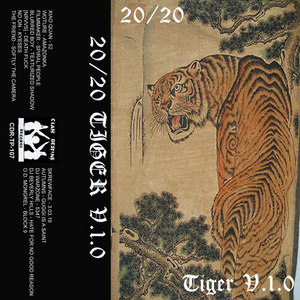 20/20 Tiger V.I.0 (Explicit)