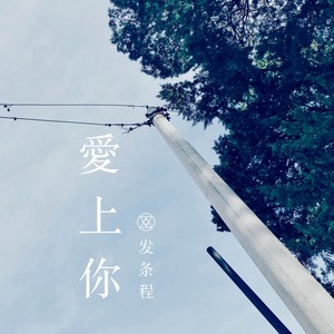发条程 - 她