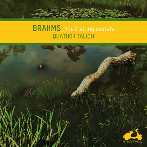 Brahms: The 2 String Sextets