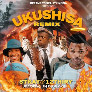 Ukushisa Remix