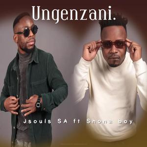 Ungenzani (feat. Shona Boy)