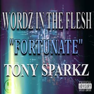 FORTUNATE (feat. Tony Sparkz) [Explicit]