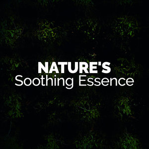 Nature's Soothing Essence