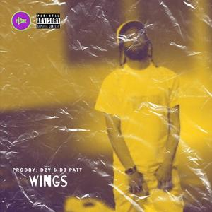 WINGS (Explicit)