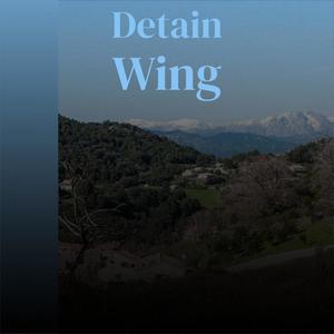 Detain Wing