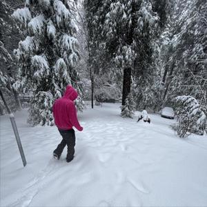 forest of piano (feat. idkshy) (Explicit)