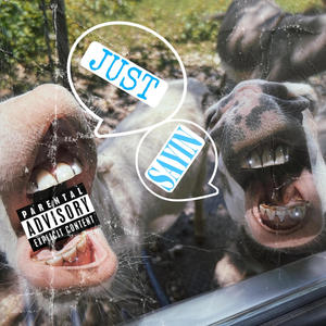 Just Sayin (Explicit)