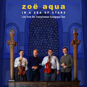 Suită românească: Goldenshteyn Învârtita, Bapolyer Hârțag, Sîrba Tinerilor, 2am Doina