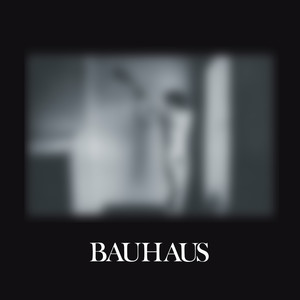 Bauhaus - Rosegarden Funeral of Sores