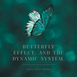 Butterfly Effects, and The Dynamic System