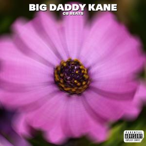 BIG DADDY KANE