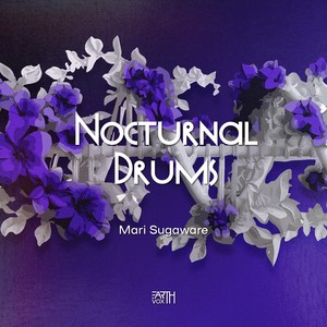 Nocturnal Drums