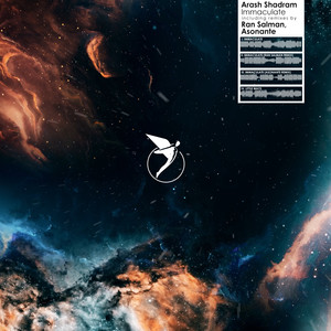 Immaculate (Ran Salman Remix)