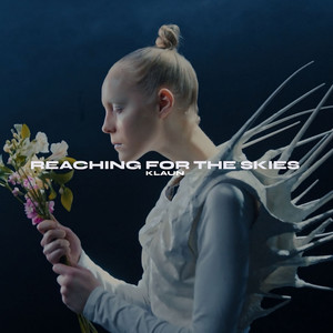 Reaching for the Skies