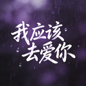 我应该去爱你 (烟嗓走心版)
