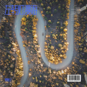 左转灯漫游-爆爆仔