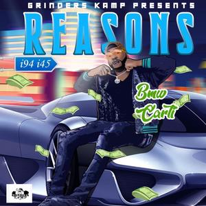 Reasons (Explicit)