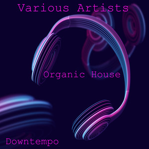 Organic House, Downtempo