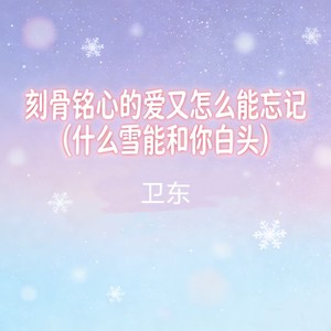刻骨铭心的爱又怎么能忘记 (什么雪能和你白头)