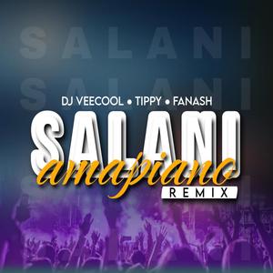 Salani Remake (feat. Dj Veecool & Fanash Beats)