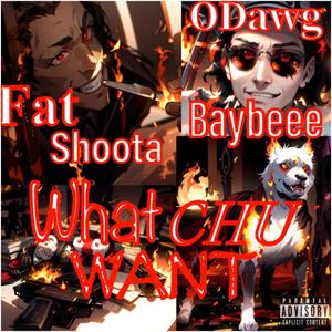 What Chu Want (feat. FatShoota) [Explicit]