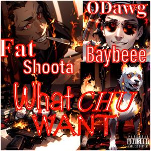 What Chu Want (feat. FatShoota) (Explicit)