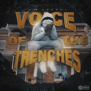 Voice Of The Trenches (Explicit)