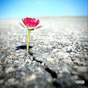 Giorni Aridi Zero Acqua (G.A.Z.A. TRIBUTE) (Explicit)