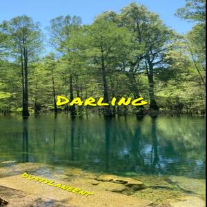 Darling (feat. S.dot) (Explicit)