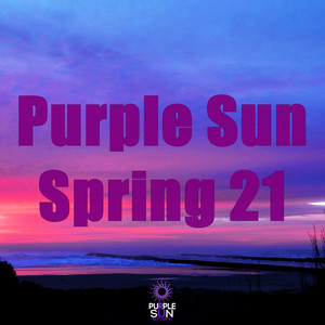 2 Point Five (Gabriel Slick Remix)