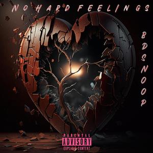 No Hard Feelings (Explicit)