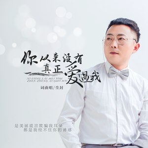 你从来没有真正爱过我