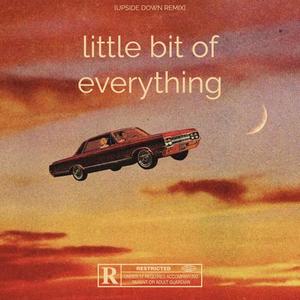 little bit of everything (feat. Shirley, BAIRDY, Dark Ollie, Dark Joshy, Jar J, AceMusicCreation & GamerKingKJ) [UPSIDE DOWN REMIX] [Explicit]