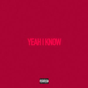 Yeah I Know (Explicit)