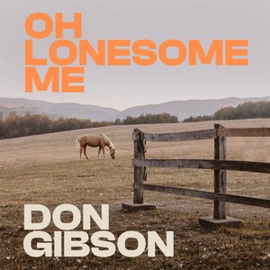 Oh Lonesome Me