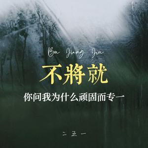 不将就 (你问我为什么顽固而专一)-二五一