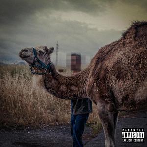 Bottle (feat. Davi Davi) (Explicit)