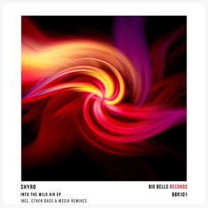Into the Wild Air (Ethen Bass Extended Remix)