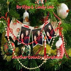 Two Dimensional Christmas