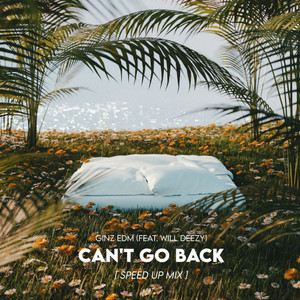 Can't Go Back (Speed Up Mix)