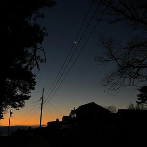 its spring & everything is waking up